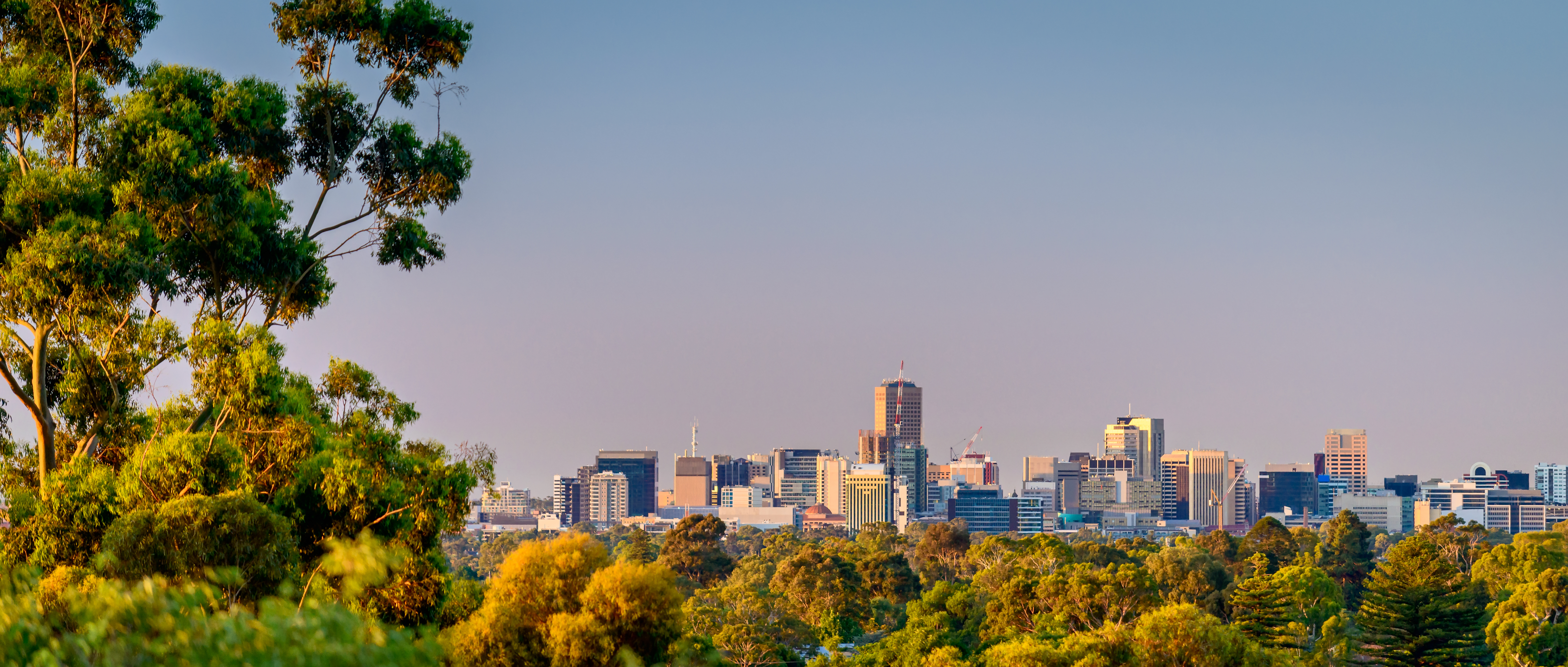 Adelaide byskyline med skyskrabere og groenne bakker under solnedgang