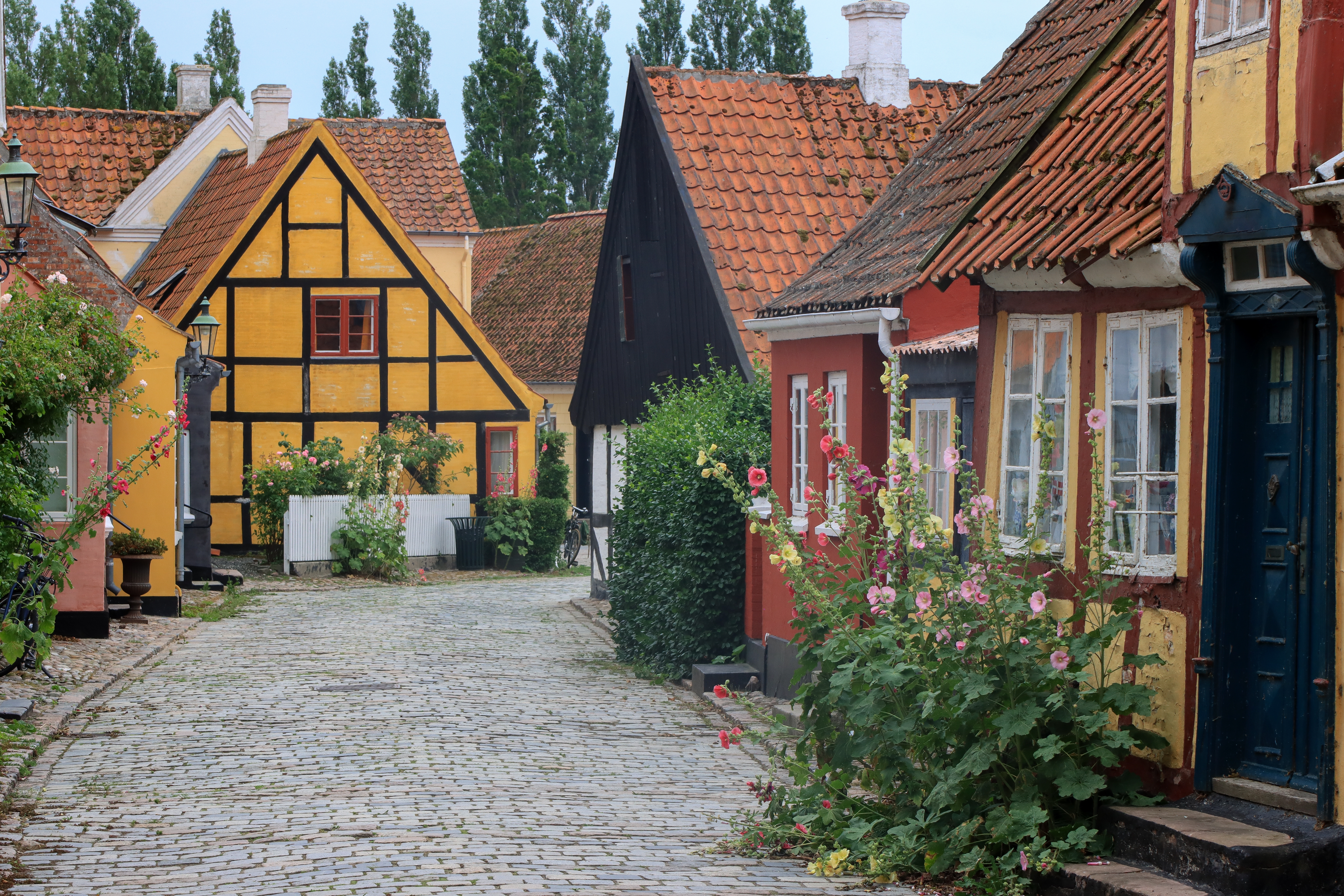 Farverige bindingsværkshuse på brostensgade i Ærøskøbing Danmark