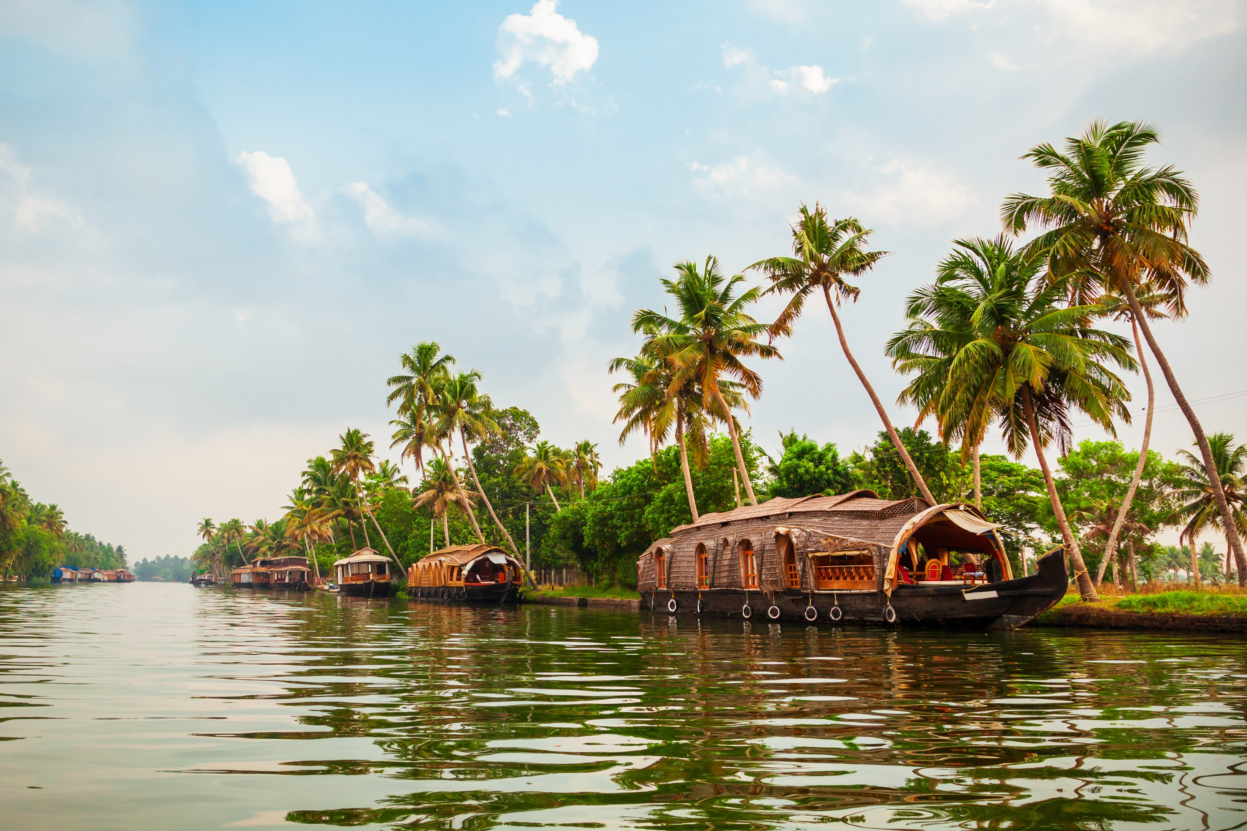 Traditionelt husbaad sejler på de rolige backwaters i Alappuzha, Kerala, omgivet af vippende palmer og frodig natur i Indien