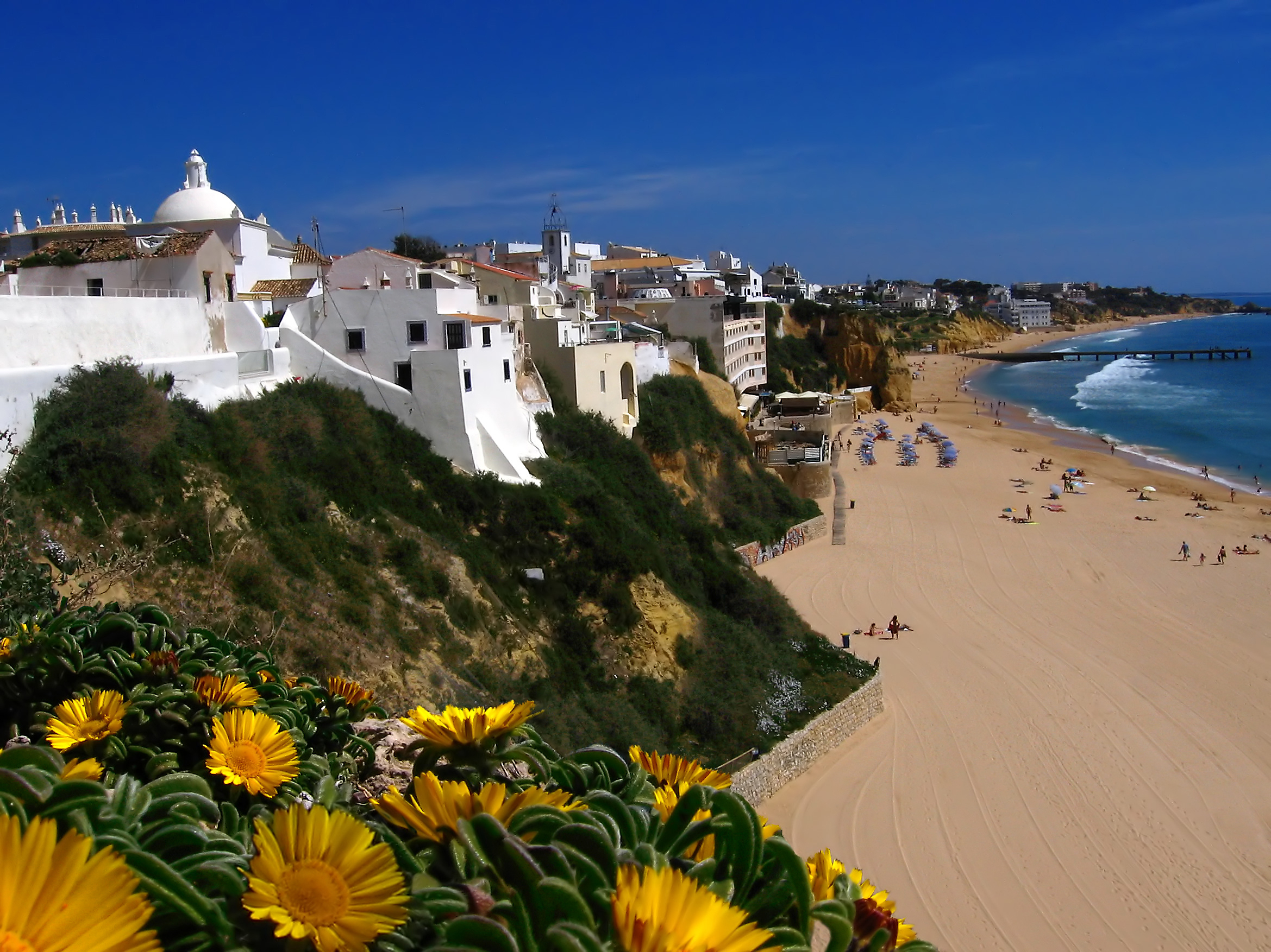 Malerisk udsigt over Albufeira i Algarve med hvide bygninger på klipperne, gylden sandstrand og blomstrende vegetation ved det azurblå Middelhav