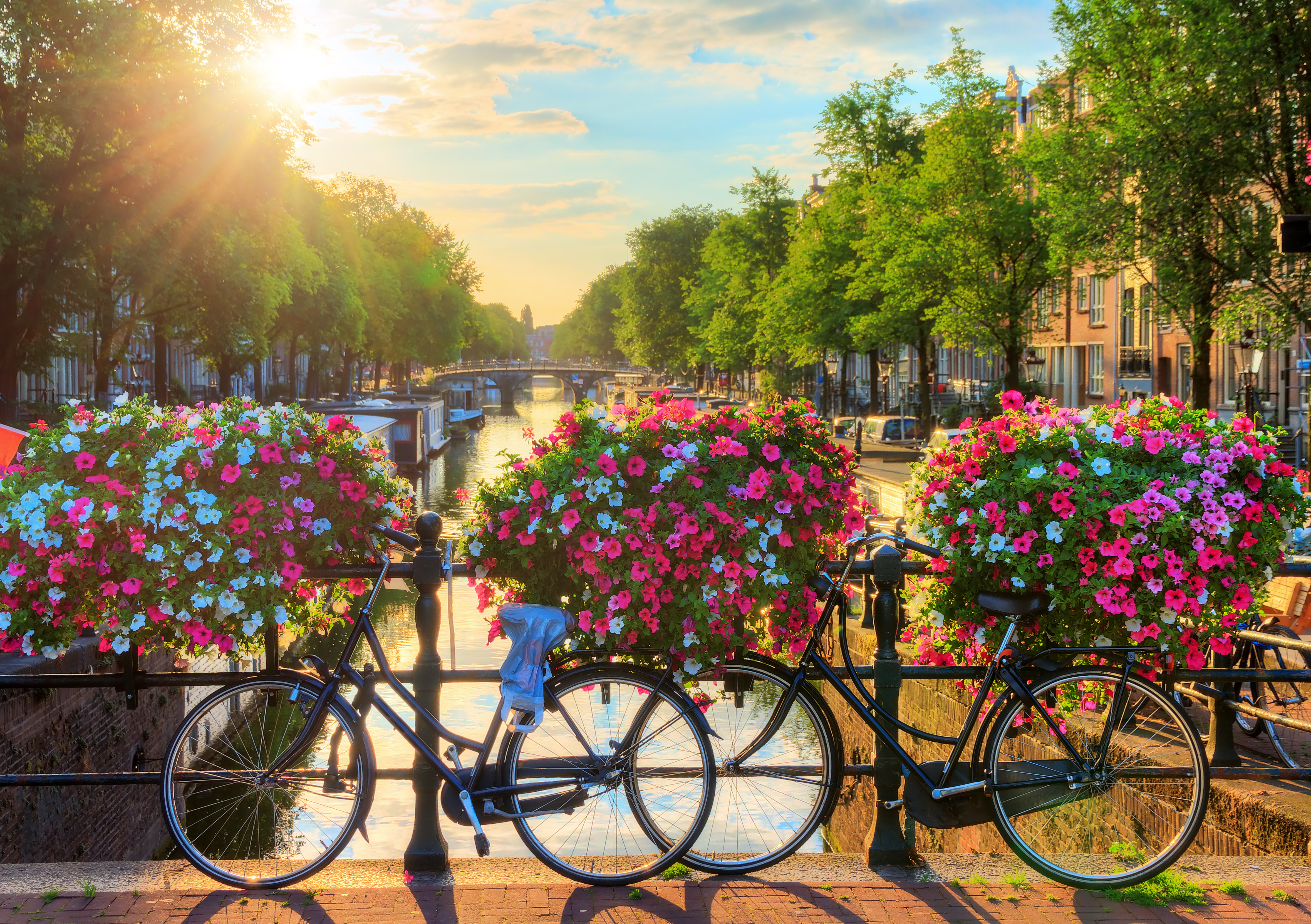 Amsterdam kanal med farverige blomsterkurve og cykler på bro ved solnedgang