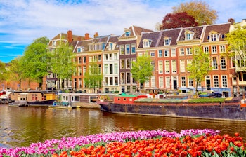 Idyllisk udsigt over Amsterdam med farverige tulipanbede i forgrunden og traditionelle hollandske huse langs kanalen under blå sommerhimmel
