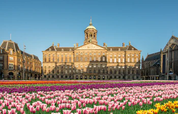 Amsterdams kongelige palads med farverige tulipaner på Dam Square i Holland