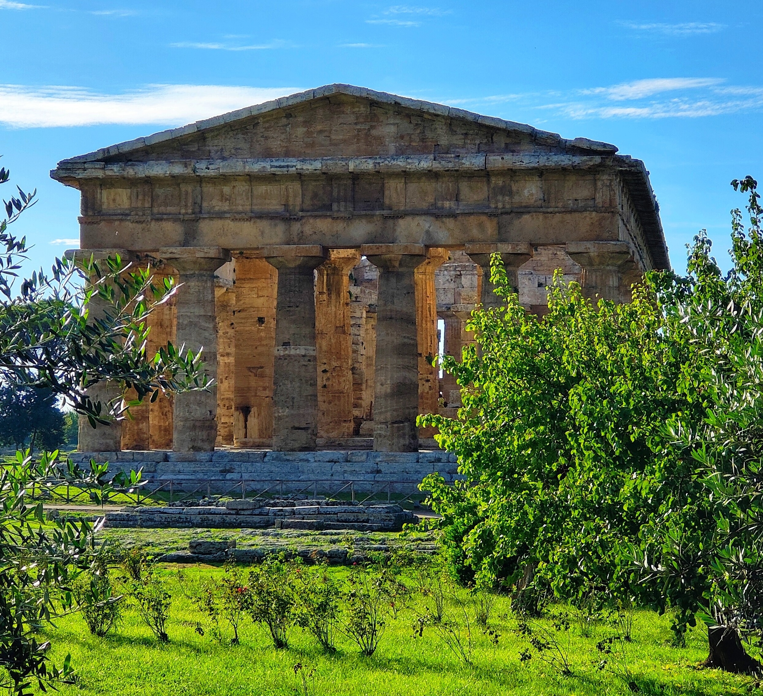 Antikt græsk Neptun tempel med doriske søjler omgivet af oliventræer i Paestum, Italien