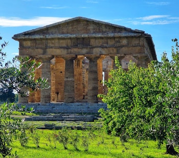 Antikt græsk Neptun tempel med doriske søjler omgivet af oliventræer i Paestum, Italien