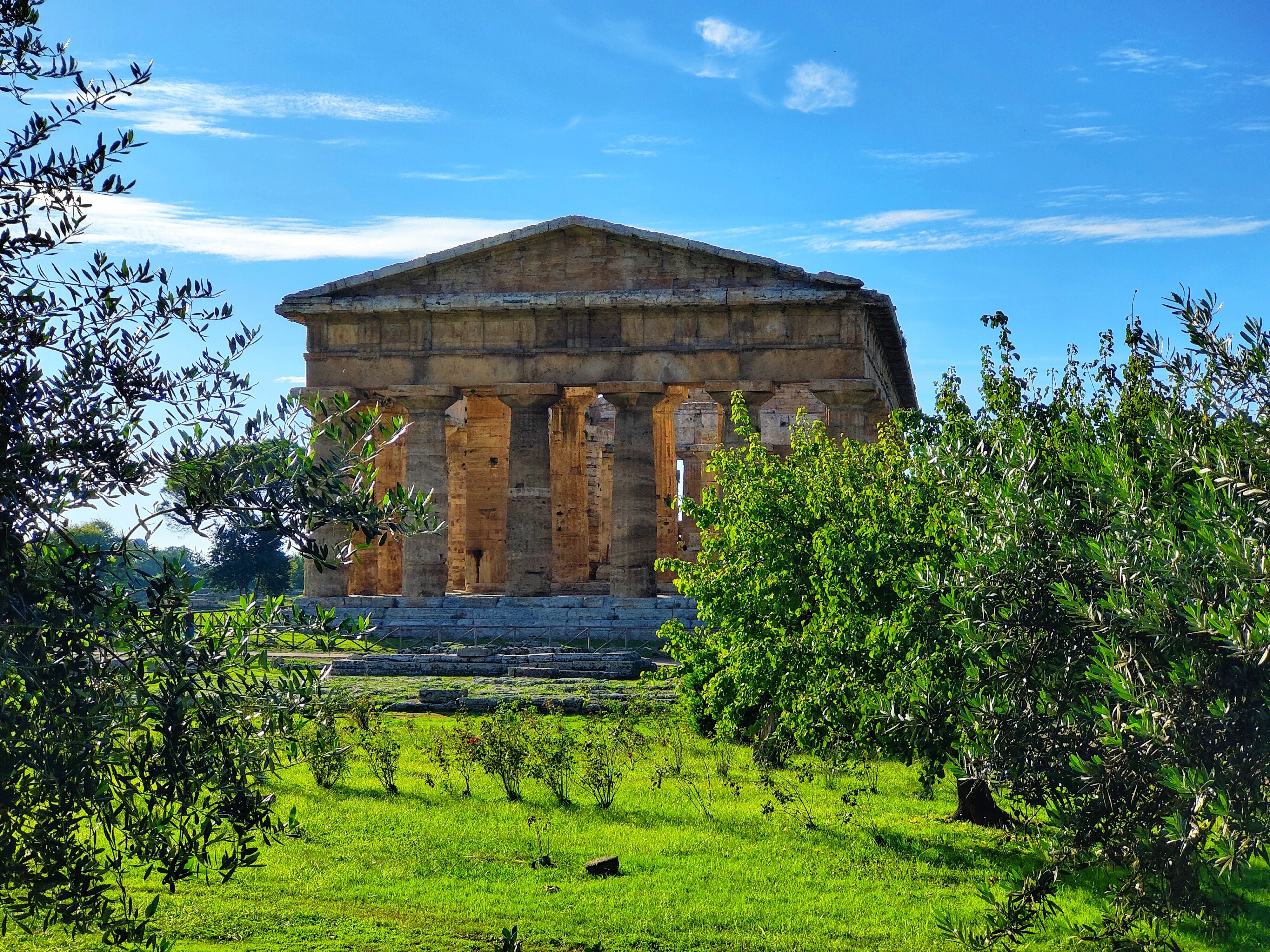 Antikt græsk Neptun tempel med doriske søjler omgivet af oliventræer i Paestum, Italien