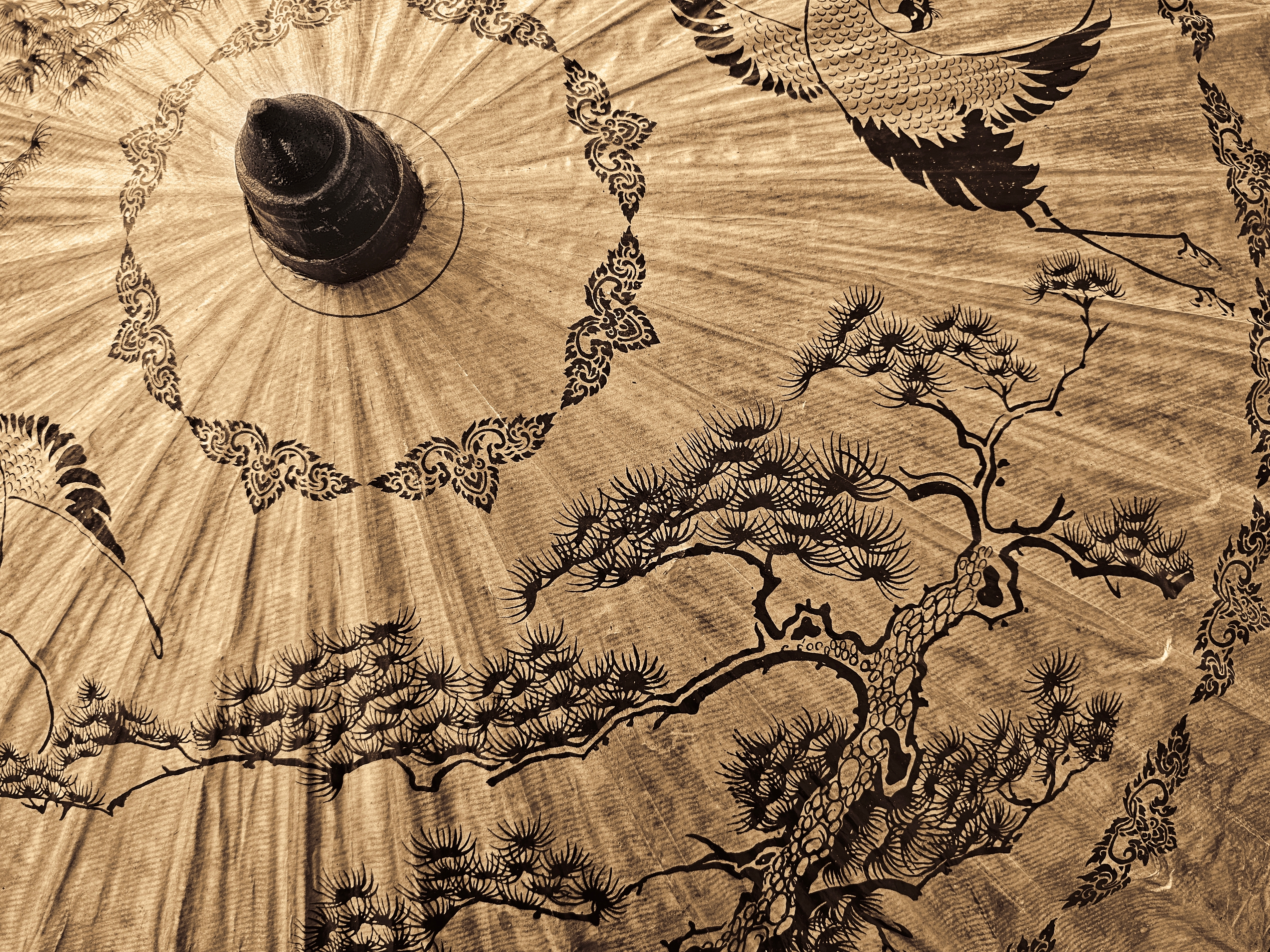 Traditionel asiatisk bambusparasol med dekorativ dragon og fyrretræ kunst