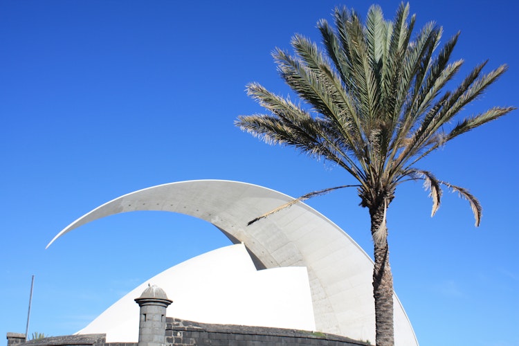 Auditorio de Tenerife med palme mod blå himmel, ikonisk moderne arkitektur på Tenerife, Spanien