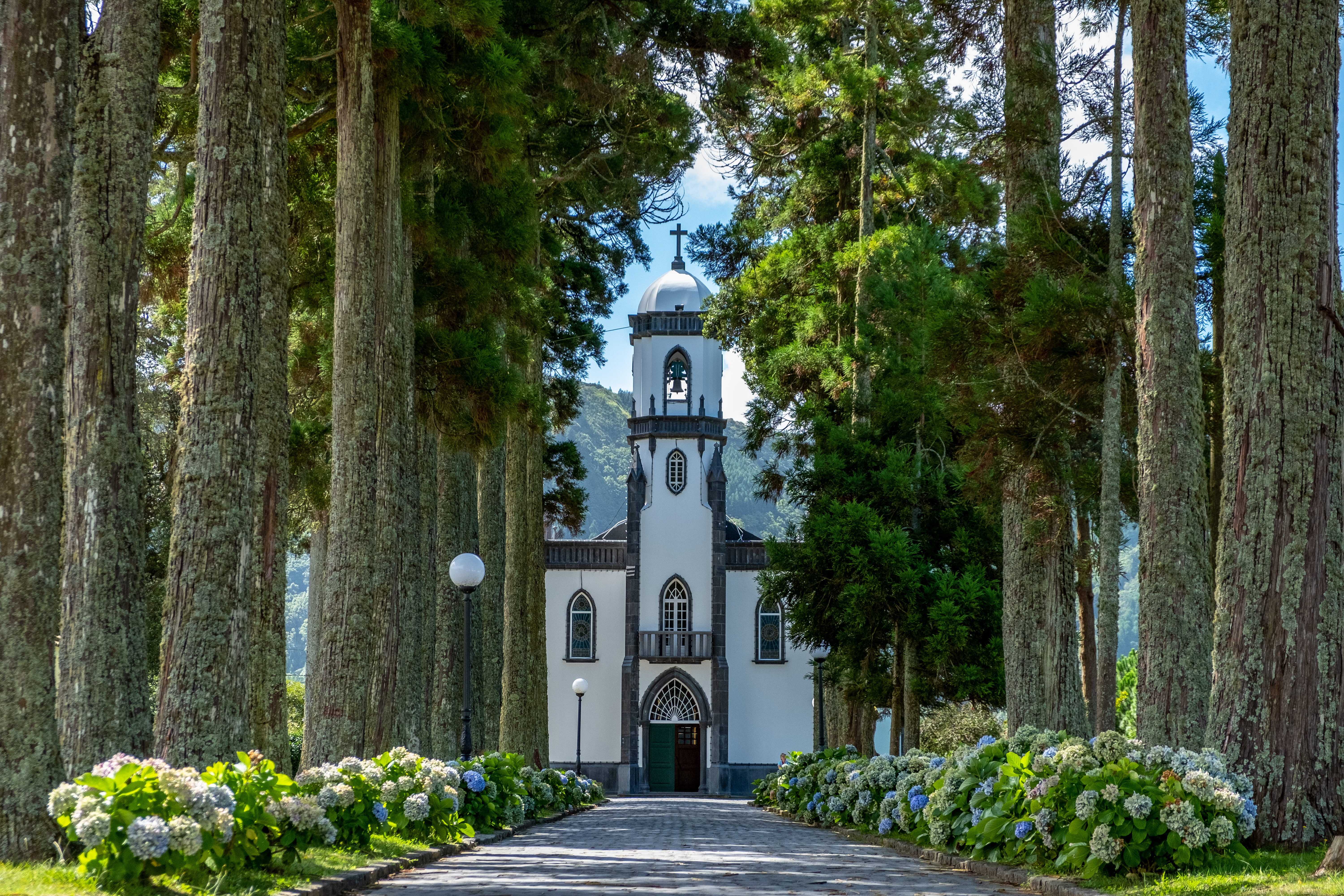 Historisk hvid kirke med klokketårn omgivet af gamle træer og hortensia blomster på Azorerne Portugal