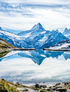 Betagende spejling af sneklædte schweiziske alper i Bachalpsees krystalklare vand, en idyllisk bjergso over Grindelwald med frodige grønne enge i Berner Oberland-regionen