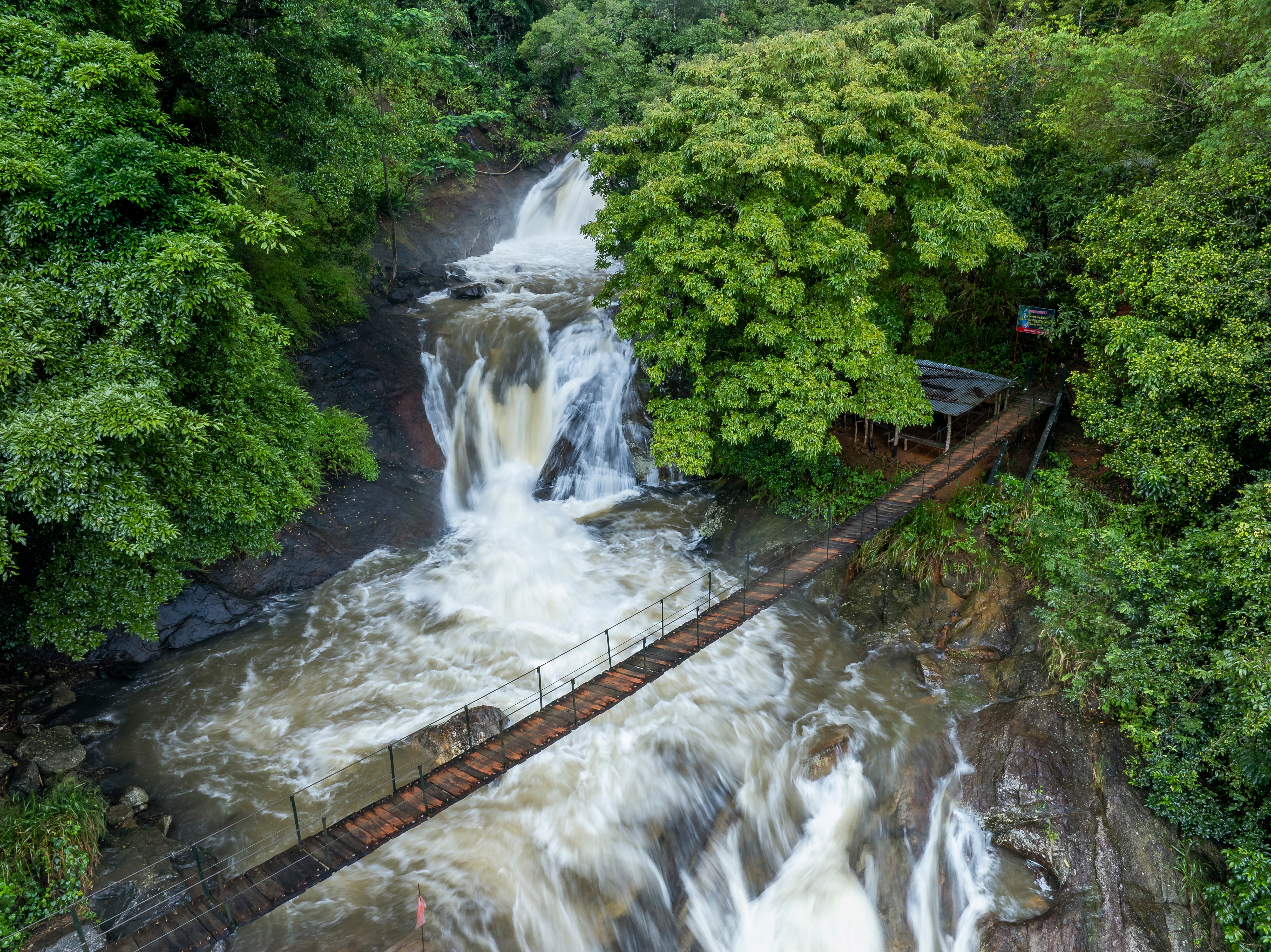 Idyllisk udsigt over Bambarakiri Ella-vandfaldet nær Rattota i Sri Lanka, hvor det krystalklare vand falder gennem frodig regnskov, med en charmerende hængebro der krydser den tropiske strøm i Matale-distriktet