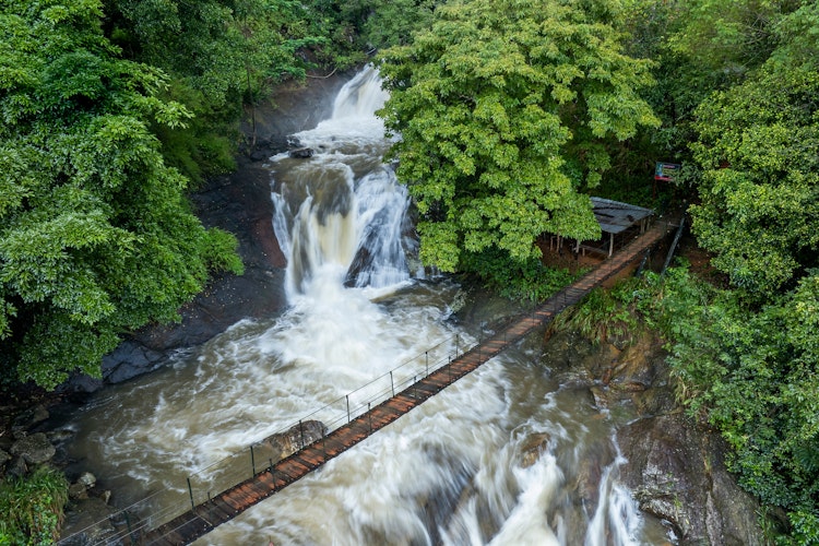 Idyllisk udsigt over Bambarakiri Ella-vandfaldet nær Rattota i Sri Lanka, hvor det krystalklare vand falder gennem frodig regnskov, med en charmerende hængebro der krydser den tropiske strøm i Matale-distriktet