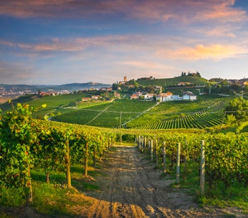 Idyllisk udsigt over Barbaresco landsby og Langhe-vinmarker i Piemonte, Norditalien - et UNESCO-verdensarvsområde med bølgende bakker og vinranker