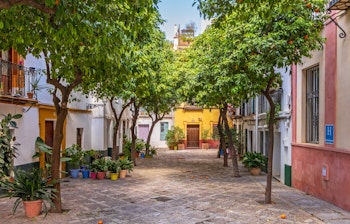 Charmerende gade i Barrio de Santa Cruz i Sevilla med farverige gule bygninger, appelsintræer og traditionel andalusisk arkitektur i det historiske jødiske kvarter i Spanien