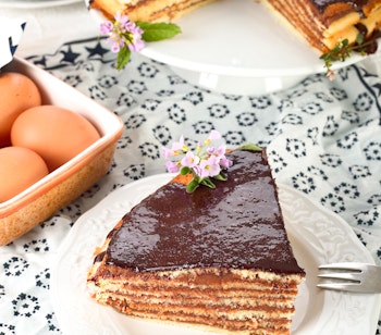 Traditionel bayersk Prinzregententorte med flere tynde lag af svampekage og chokoladecreme, toppet med en glat chokoladeglasur - en klassisk tysk dessert fra Bayern