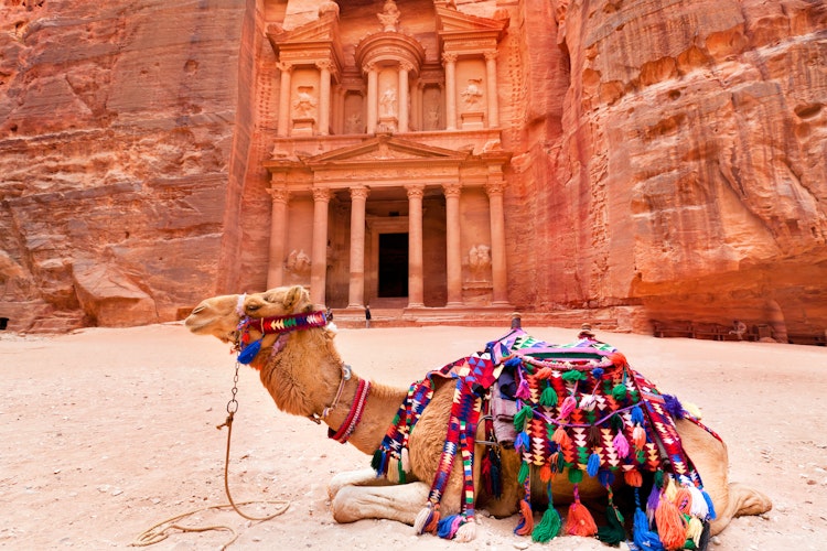 Beduin med kamel foran det imponerende Skatkammer Al Khazneh udhugget i sandstensklipper i Petra, UNESCO verdensarvssted i Jordan