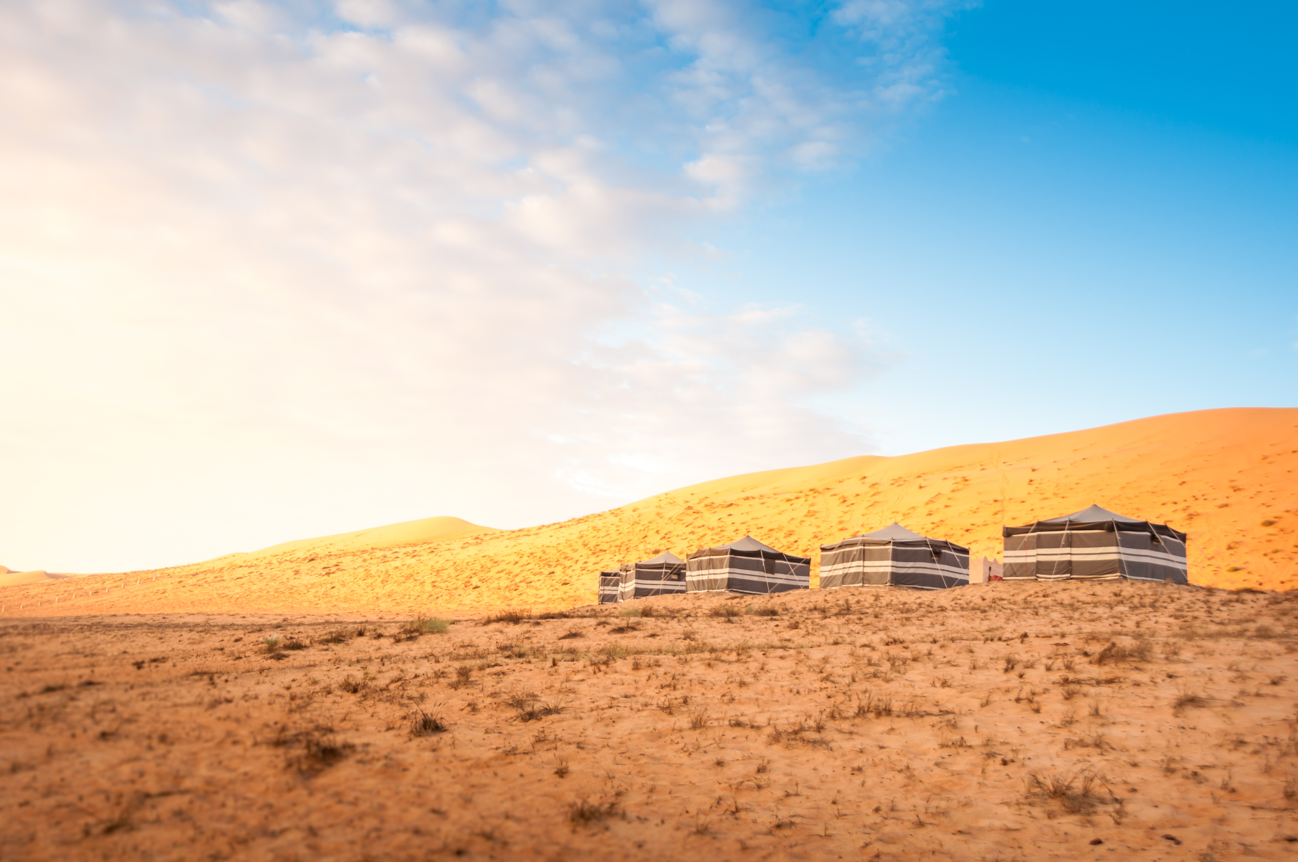 Traditionelle beduintelte i den gyldne Wahiba-ørken i Oman ved solopgang med smuk blå himmel