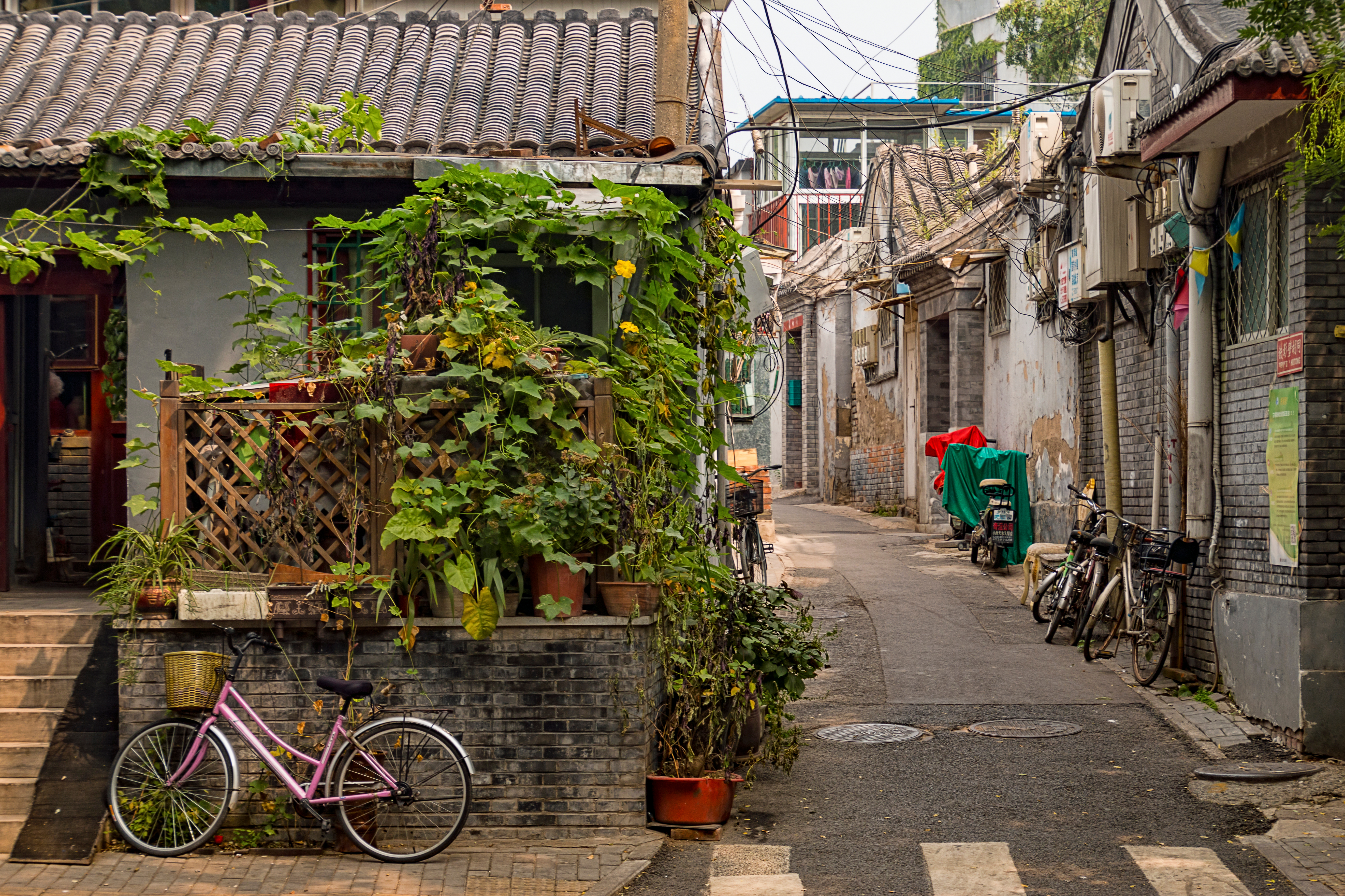 Traditionel hutong-gade i Beijing med cykler og historiske mursten bygninger