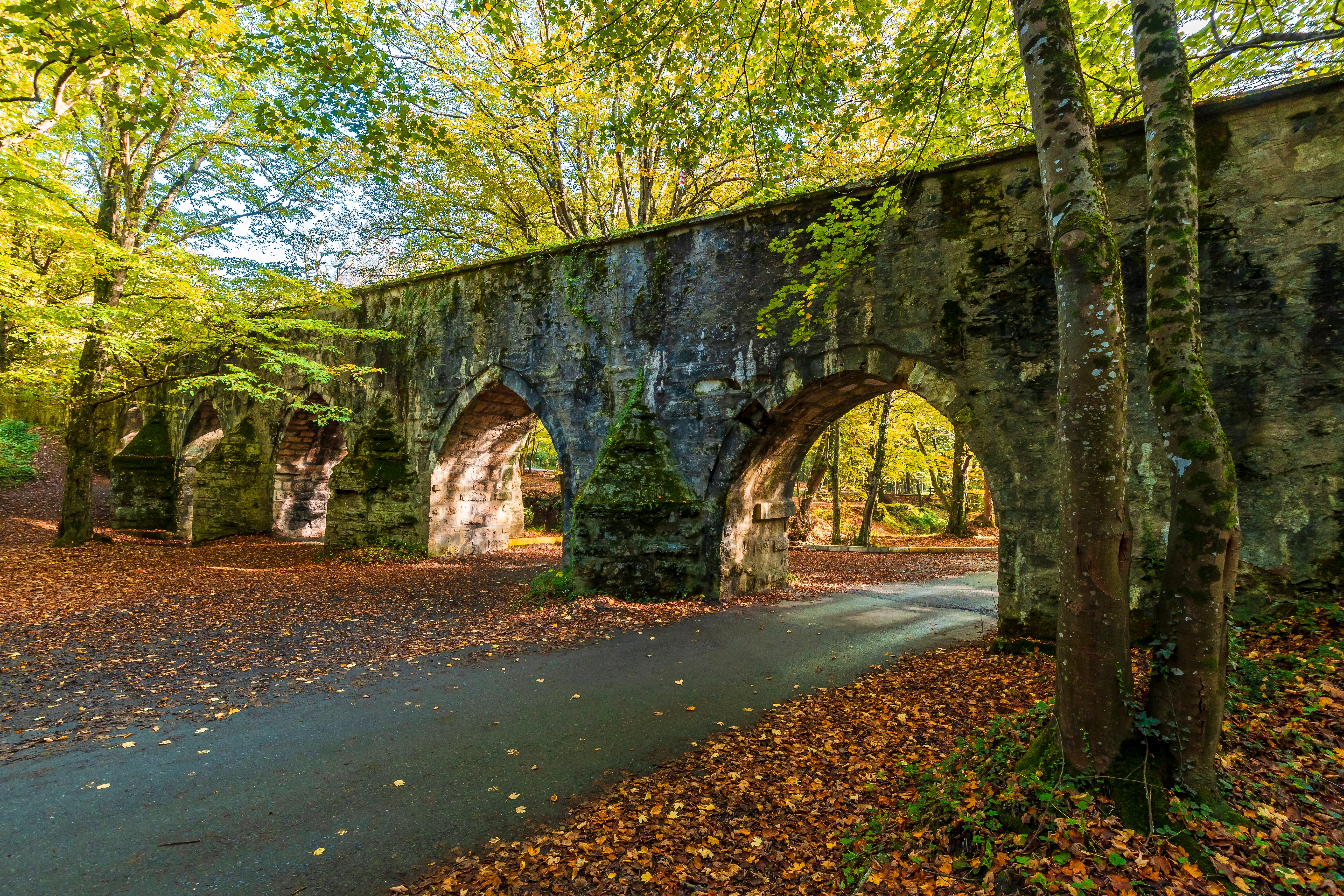 Idyllisk efterårsudsigt over den historiske Ayvat Bendi dæmning i Belgrad-skoven i Istanbul, hvor det klare vandreservoir omgivet af farverige efterårsblade skaber en fredfyldt naturoplevelse