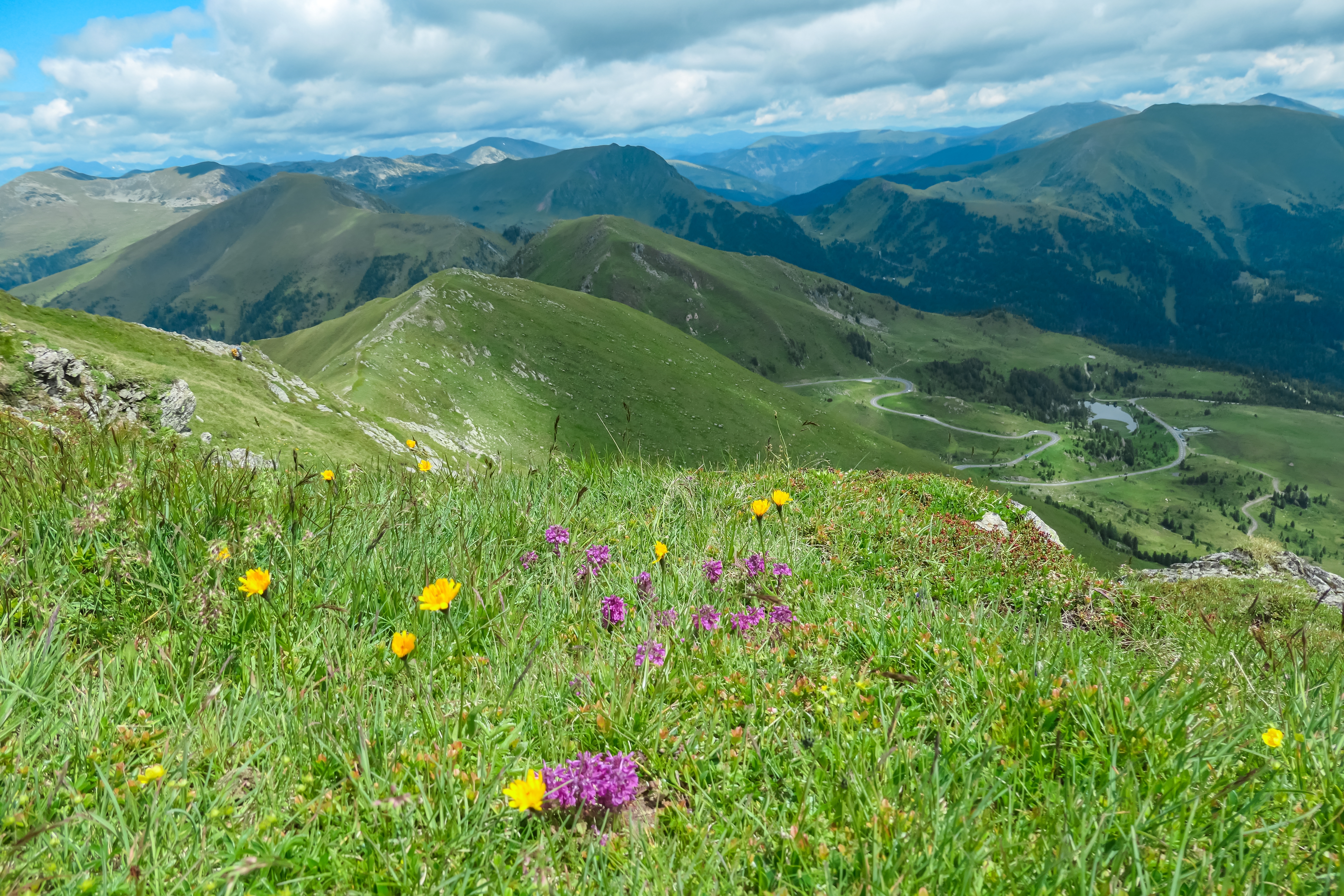 Bjergvandring med vilde blomster i alpe enge og smuk udsigt over dale