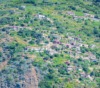 Malerisk bjerglandsby Campiglia Tramonti beliggende på klipperne i Cinque Terre Nationalpark ved Liguriens kyst i Italien