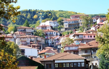 Charmerende stenhuse med terrakottatage i bjerglandsbyen Metsovo i Grækenland omgivet af frodige grønne skove