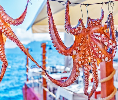 Friske blækspruttetentakler hænger til tørre i solen ved en restaurant i Oia på Santorini - traditionel græsk madlavningsmetode