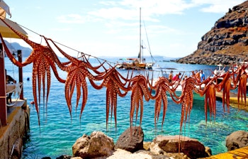 Traditionelle blæksprutter tørrer i solskinnet ved kysten på Santorini med det azurblå Middelhav og en sejlbåd i baggrunden