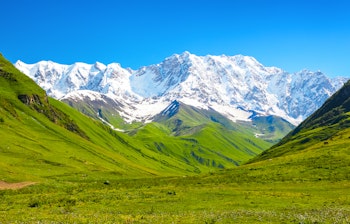 Farverig blomstereng med gule og hvide vildblomster omgivet af majestætiske snedækkede bjerge i Upper Svaneti, Georgien