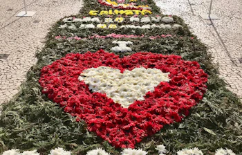 blomsterfestival_madiera_01