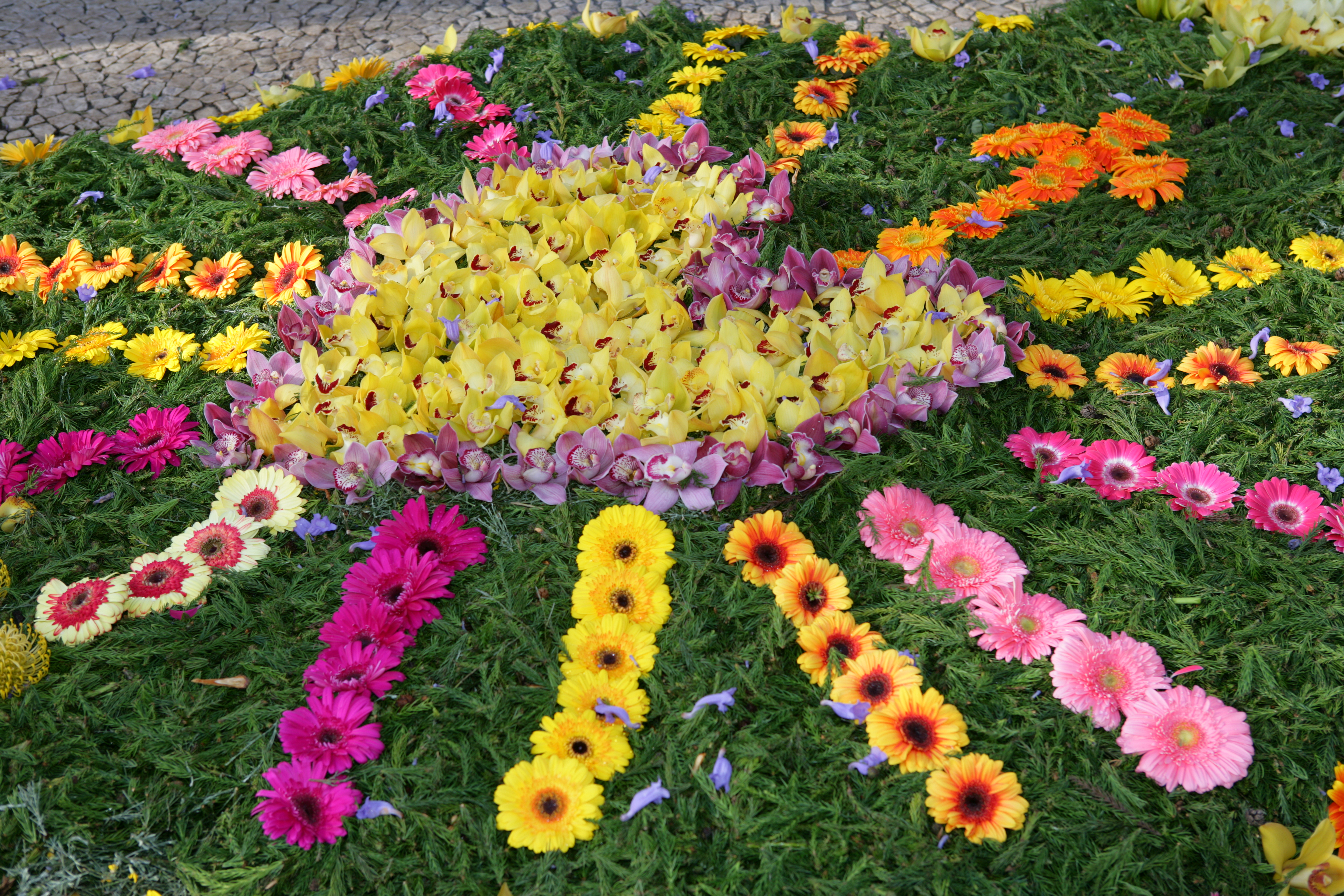 blomsterfestival_madiera_18