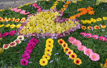blomsterfestival_madiera_18