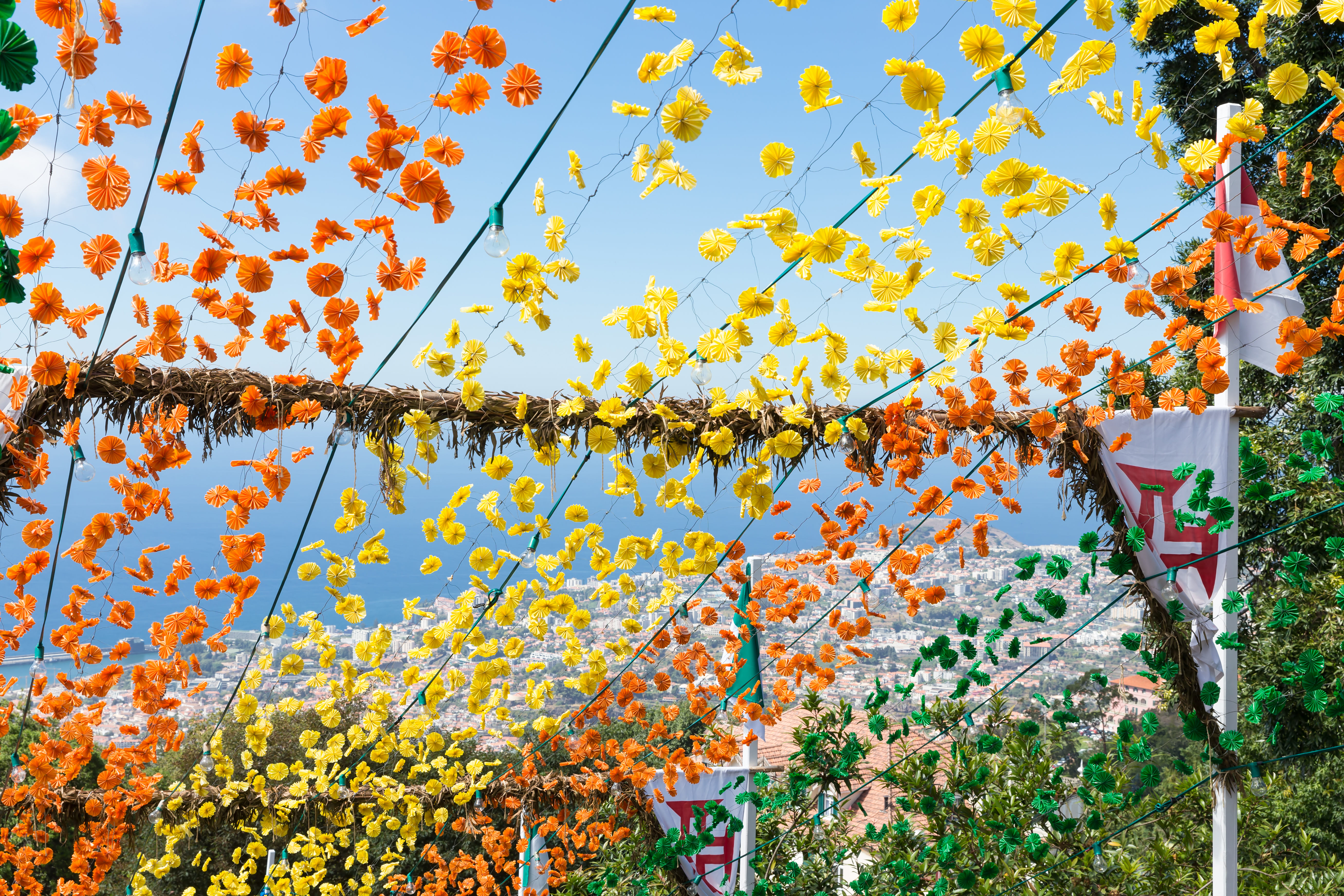 blomsterfestival_madiera_23