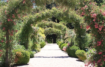 Idyllisk rosenbue i en blomstrende have med farverige blomster der skaber en romantisk sti til rejsende