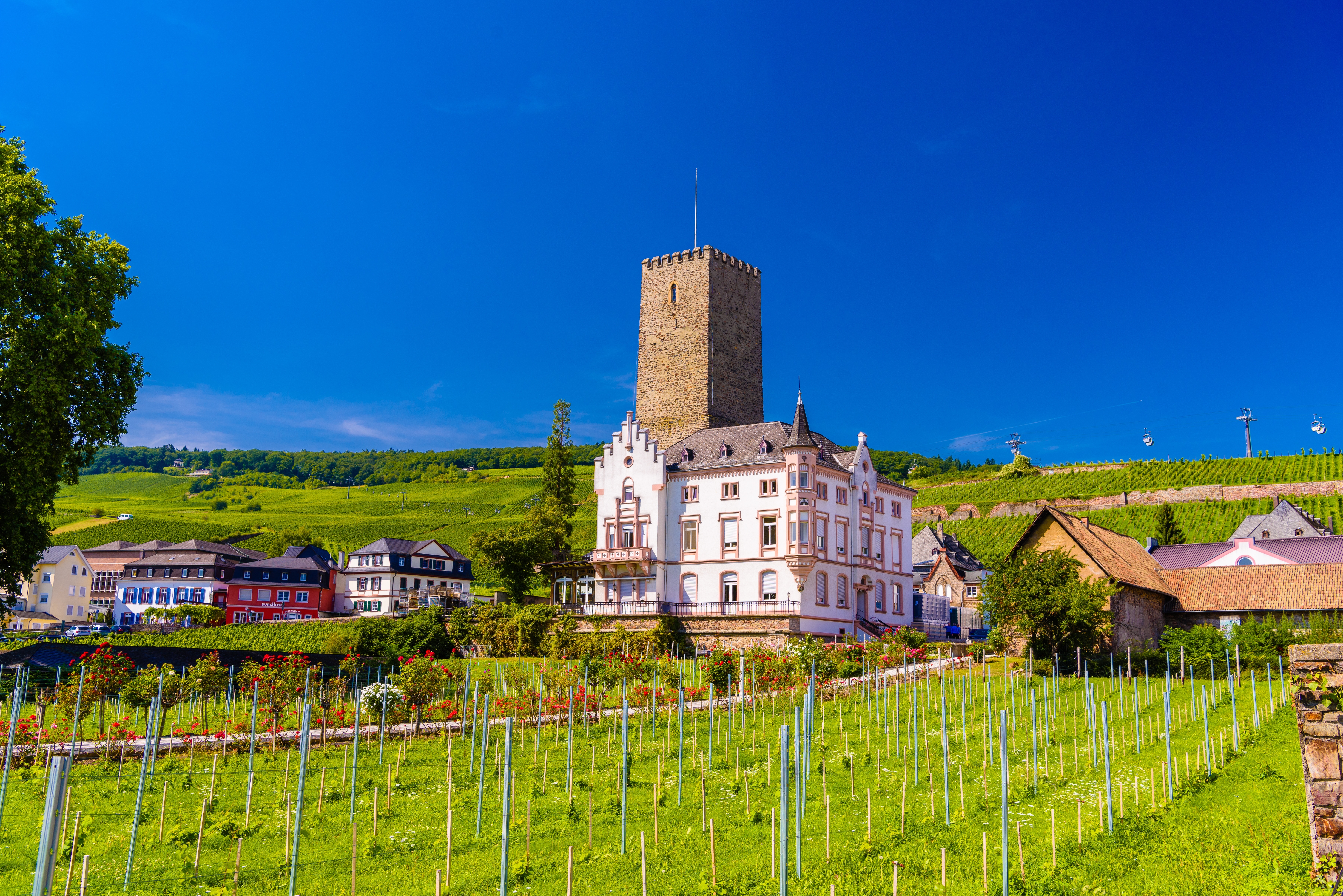 Boosenburg slot med middelalderligt tårn i Rüdesheim am Rhein omgivet af grønne vingårde og smuk sommerblå himmel i Rheingau, Tyskland