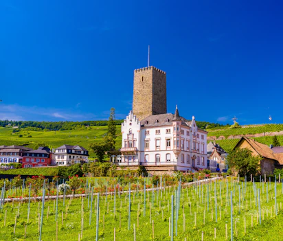 Boosenburg slot med middelalderligt tårn i Rüdesheim am Rhein omgivet af grønne vingårde og smuk sommerblå himmel i Rheingau, Tyskland