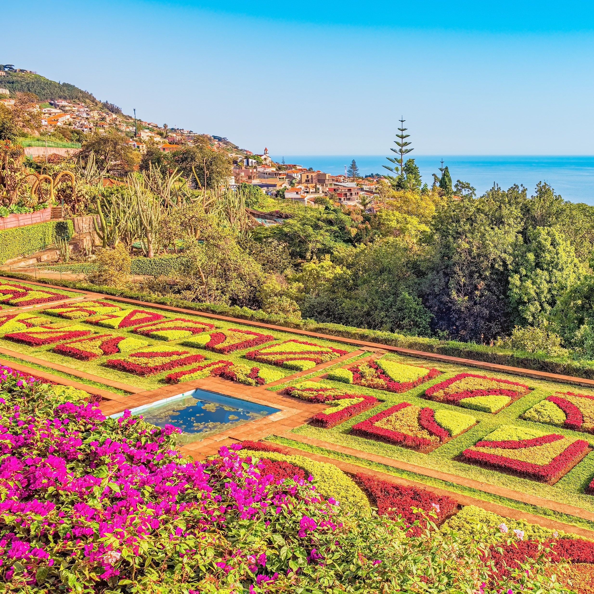 Farverig botanisk have med geometriske blomsterbede og udsigt over Funchal by og havet på Madeira, Portugal