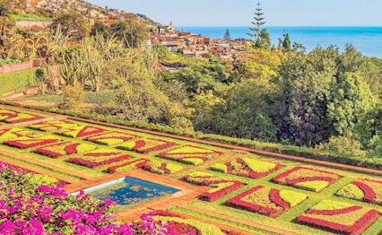 Farverig botanisk have med geometriske blomsterbede og udsigt over Funchal by og havet på Madeira, Portugal