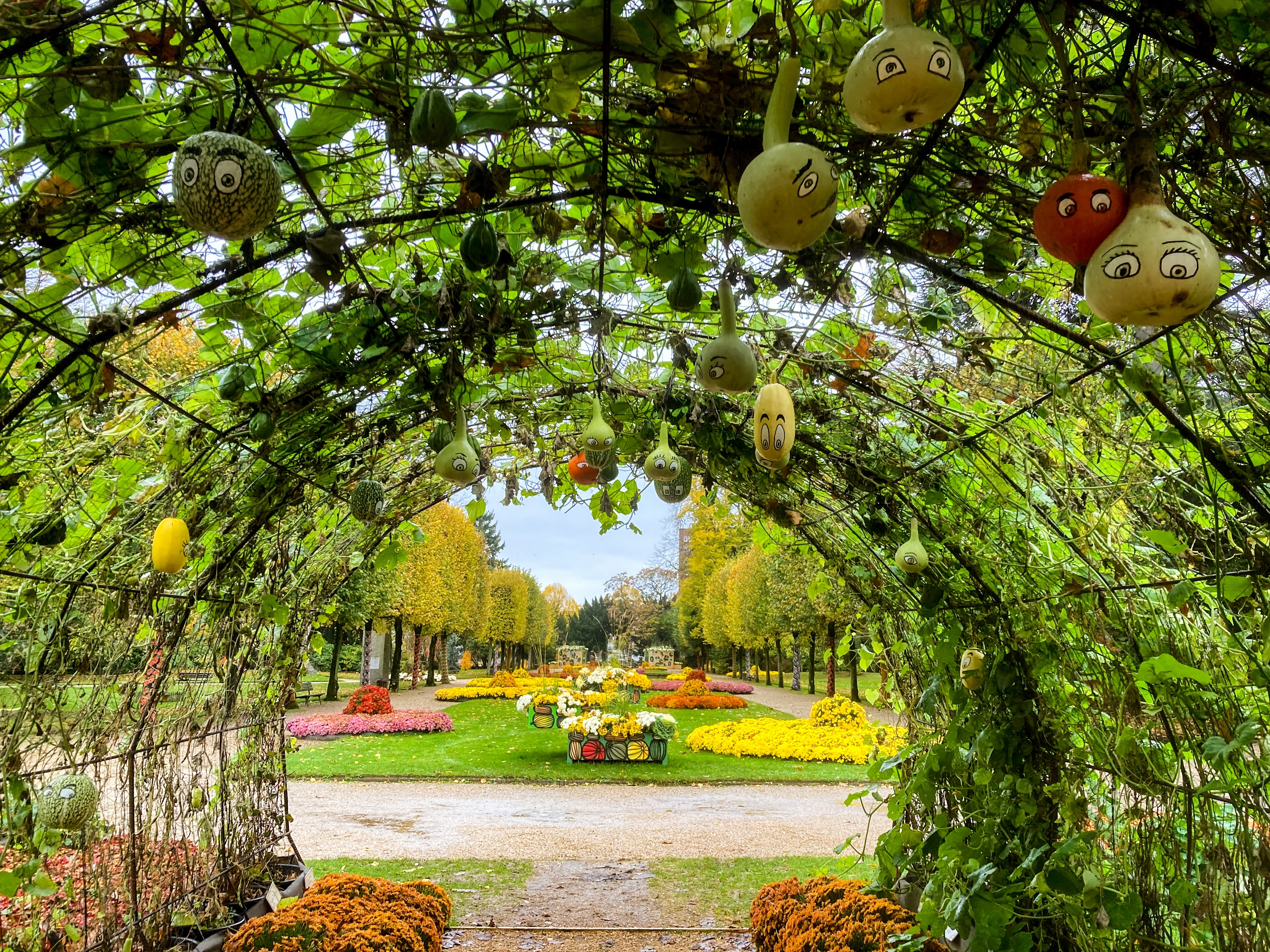 Smuk grøn løvgang med dekorative kugler i Jardin des Plantes botanisk have i Rouen, Normandiet