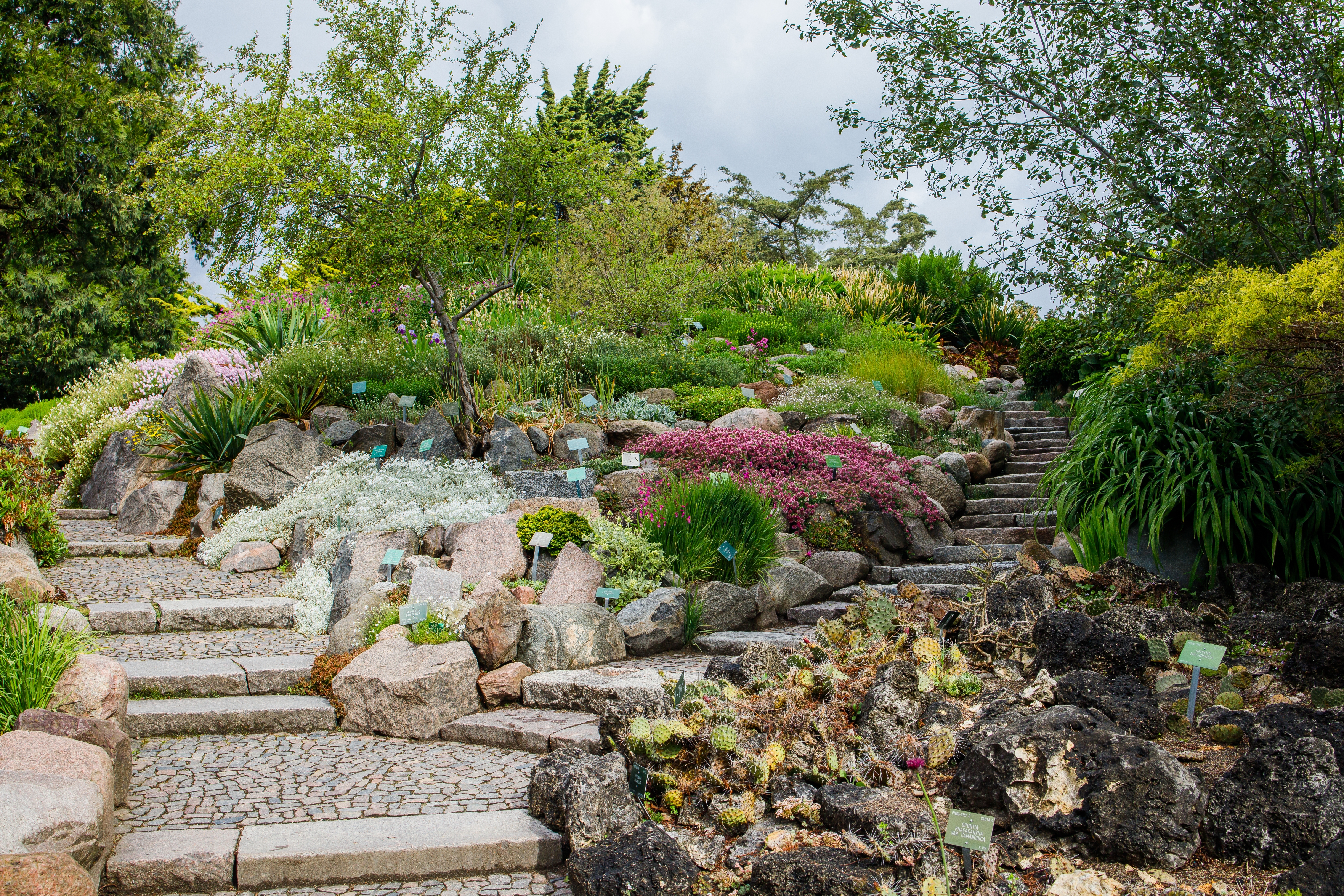 Smuk stenhave med terrasser, stentrappe og farverige planter i botanisk have