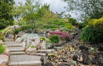 Smuk stenhave med terrasser, stentrappe og farverige planter i botanisk have