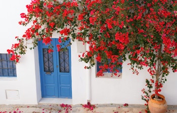 Traditionelt hvidt hus med røde bougainvillea blomster og blå dør i Nijar, Almeria, Andalusien, Spanien