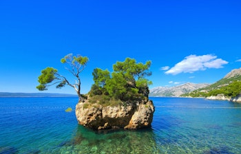 Idyllisk Brela strand med krystalklart blåt vand, skyggefulde pinjetræer og karakteristiske klipper ved Makarska Riviera i Kroatien