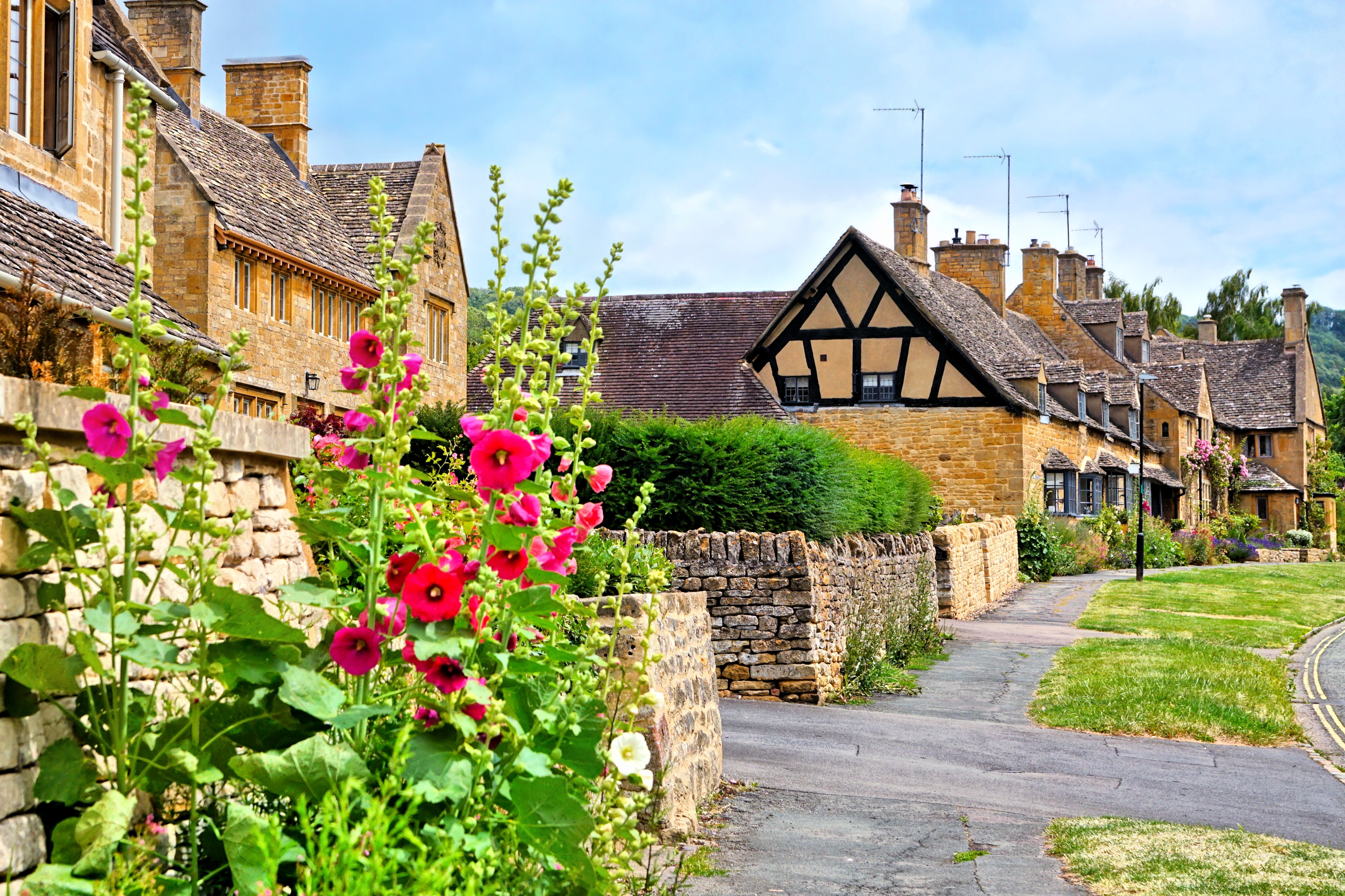 Idyllisk gade i Broadway landsbyen i Cotswolds med smukke røde stokroser langs stenmure og traditionelle honningfarvede stenhuse under en sommerblå himmel