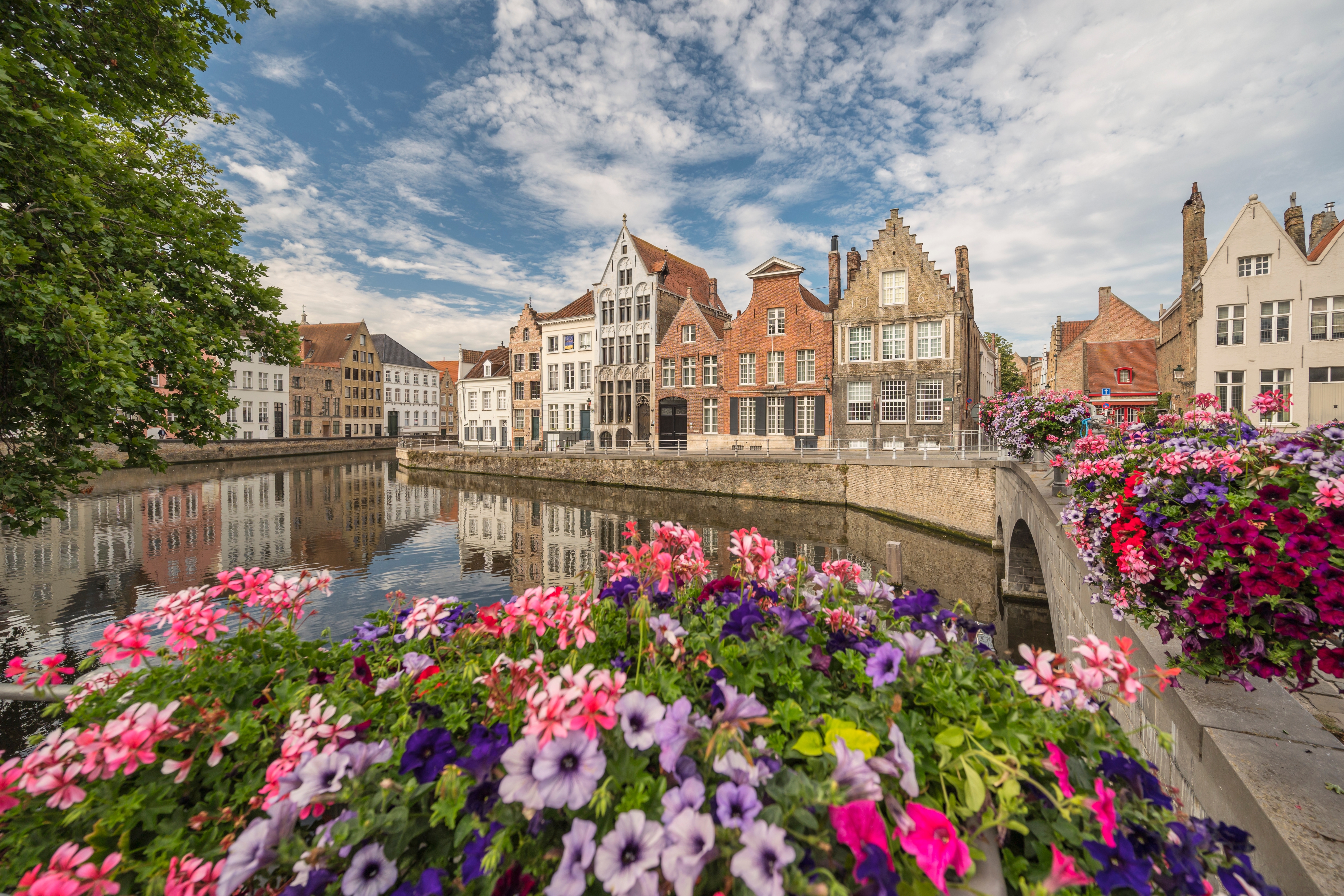 Farverige blomster langs historisk kanal i Bruges Belgien med middelalderlig arkitektur