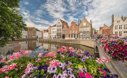 Farverige blomster langs historisk kanal i Bruges Belgien med middelalderlig arkitektur