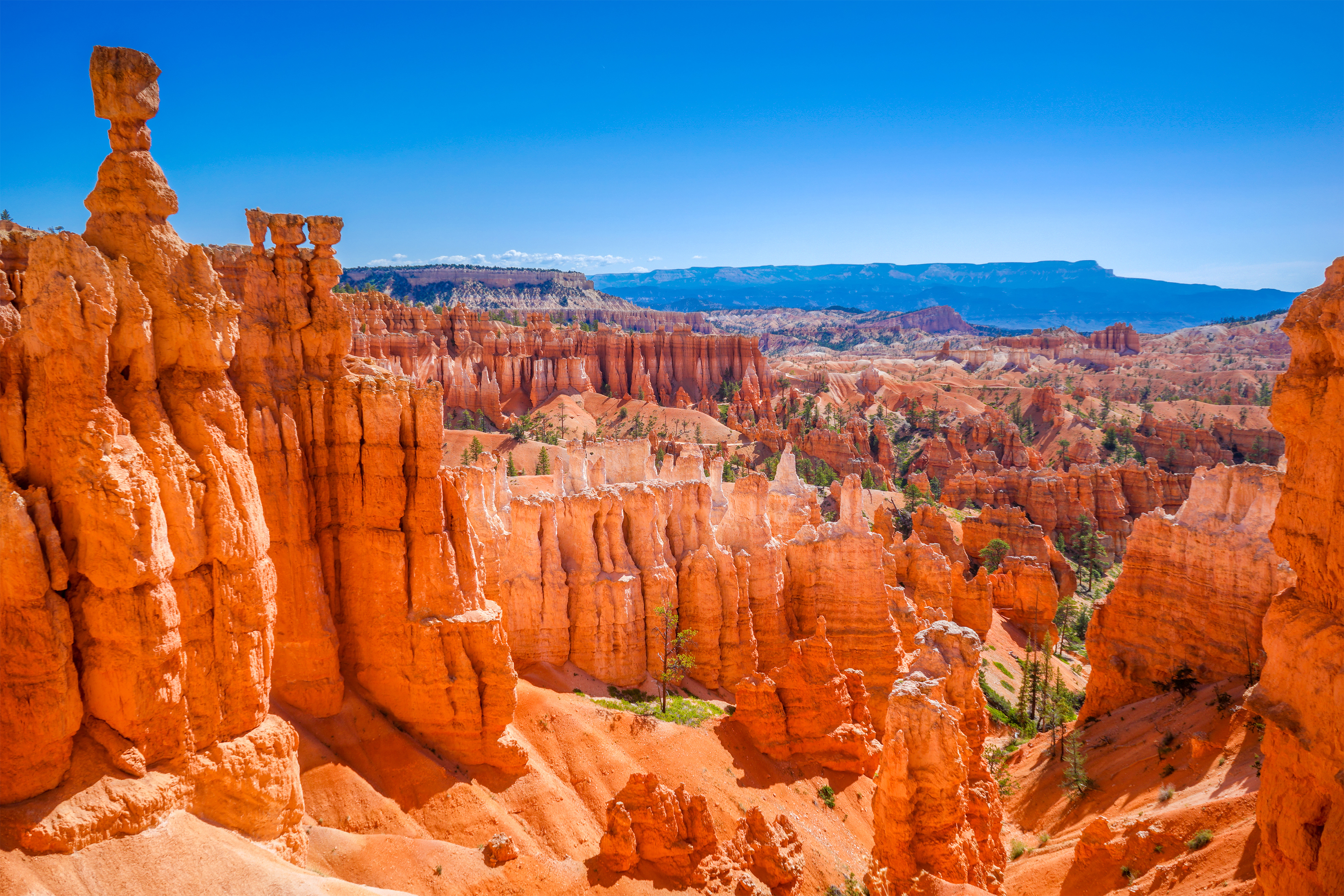 Spektakulær udsigt over de ikoniske orange og røde hoodoo-klippeformationer i Bryce Canyon National Park med dramatiske geologiske spir formet af erosion i Utah, USA