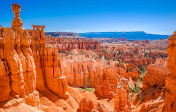 Spektakulær udsigt over de ikoniske orange og røde hoodoo-klippeformationer i Bryce Canyon National Park med dramatiske geologiske spir formet af erosion i Utah, USA