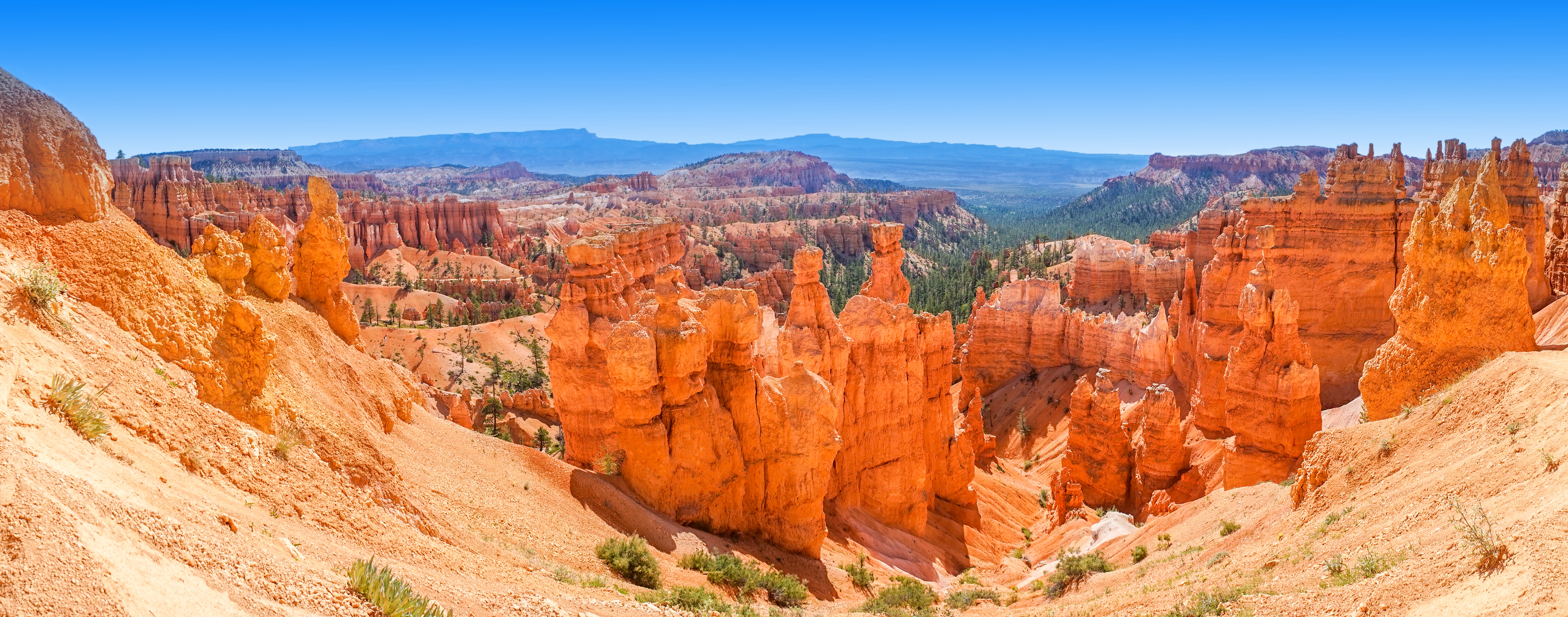 Panoramaudsigt over Bryce Canyon Nationalpark med røde sandstensformationer og hoodoos i Utah USA