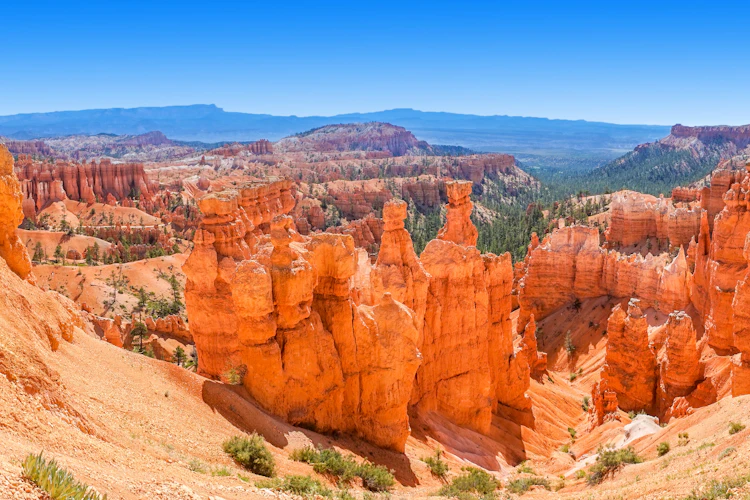 Panoramaudsigt over Bryce Canyon Nationalpark med røde sandstensformationer og hoodoos i Utah USA